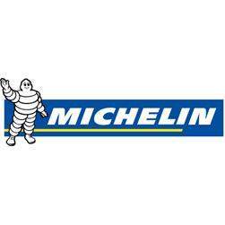 Logo Michelin